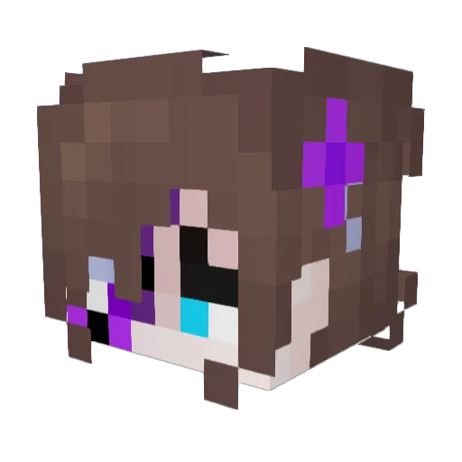 Cold_Freezy Minecraft avatar head, 3D render