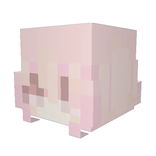 Cold_XiaoYu Minecraft avatar head, 3D render
