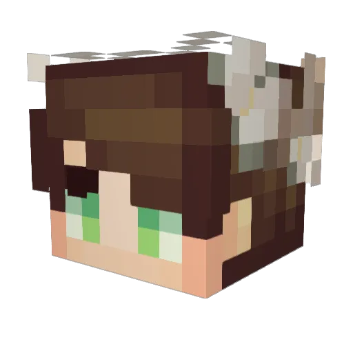 ColdbrewKai Minecraft avatar head, 3D render