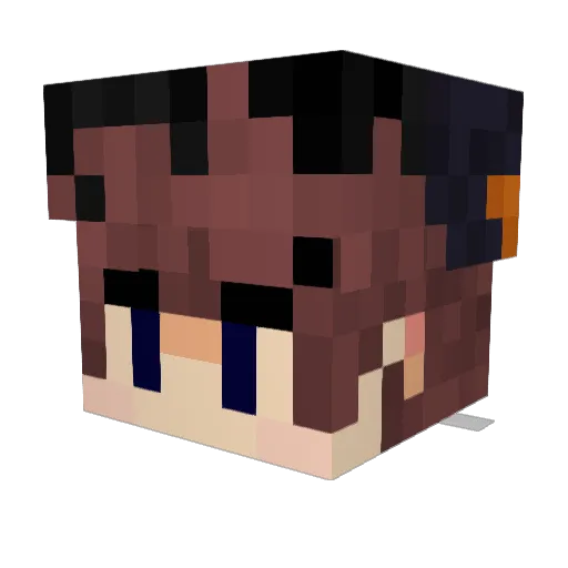 ColdestSquire42 Minecraft avatar head, 3D render
