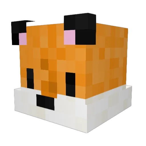 Coldfoxs Minecraft avatar head, 3D render
