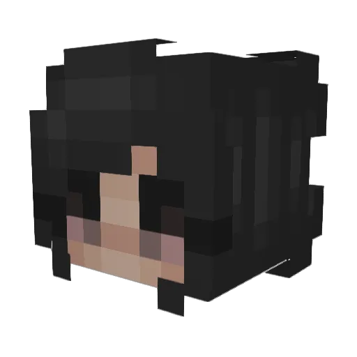 Coldhandzz Minecraft avatar head, 3D render
