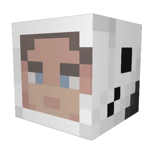 Coldiverse Minecraft avatar head, 3D render