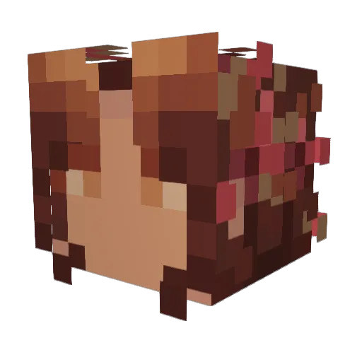 Coldmacuro Minecraft avatar head, 3D render