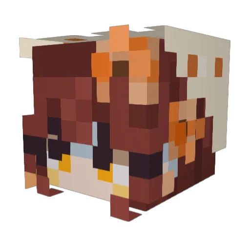 Coldmidnight09 Minecraft avatar head, 3D render