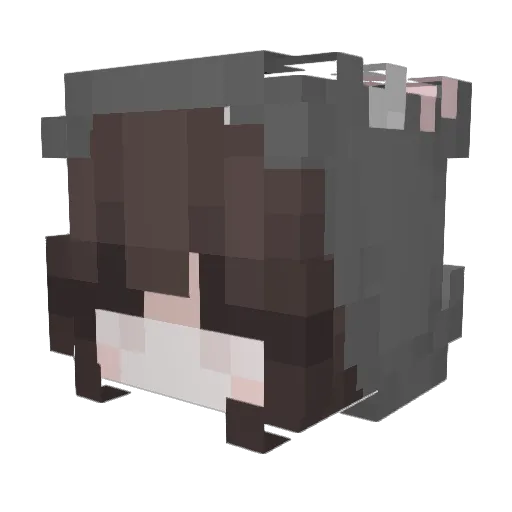 Coldy193 Minecraft avatar head, 3D render