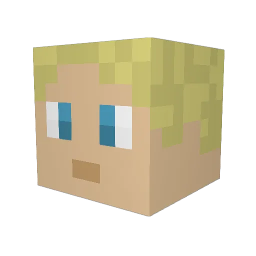 Cole209 Minecraft avatar head, 3D render