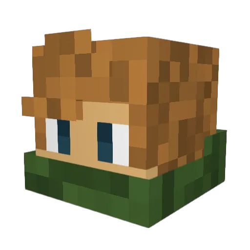 Cole577 Minecraft avatar head, 3D render