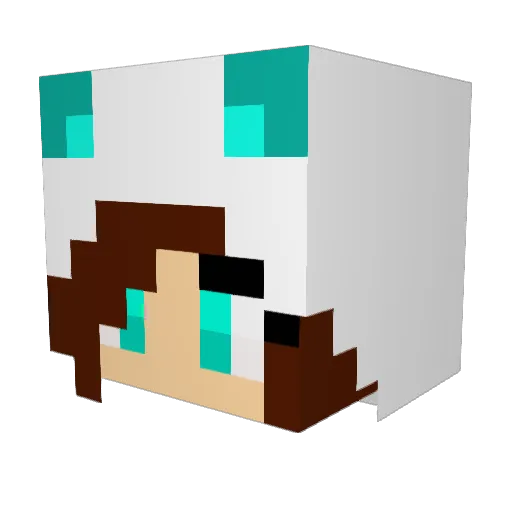 ColeCreeper6 Minecraft avatar head, 3D render