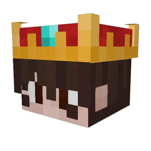 ColeMiner435 Minecraft avatar head, 3D render