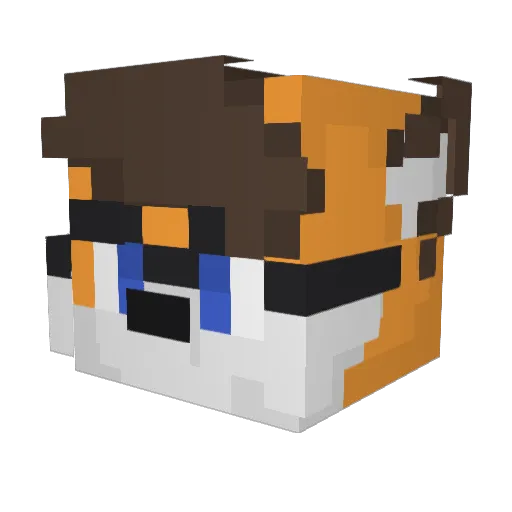 ColeTheManMan Minecraft avatar head, 3D render