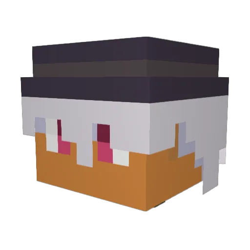 Cole_Flowers514 Minecraft avatar head, 3D render