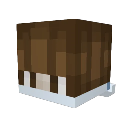 Cole_Gamer2 Minecraft avatar head, 3D render