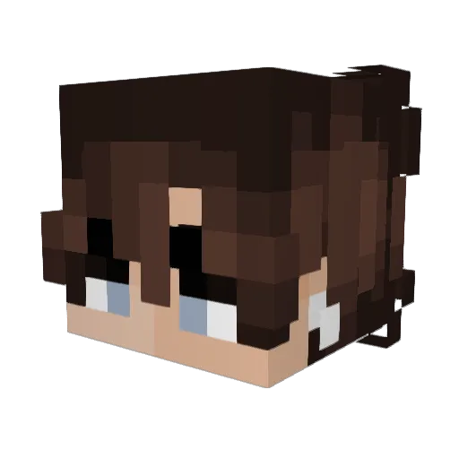 Cole_H Minecraft avatar head, 3D render