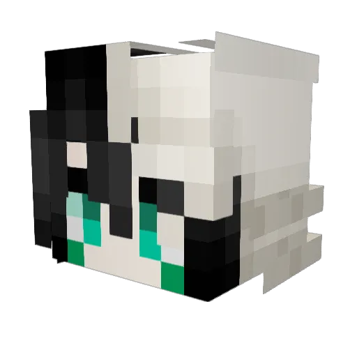 Cole_Ninjago Minecraft avatar head, 3D render
