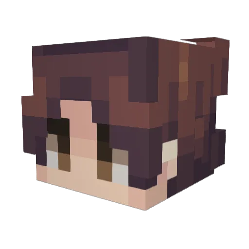 Coleingz Minecraft avatar head, 3D render