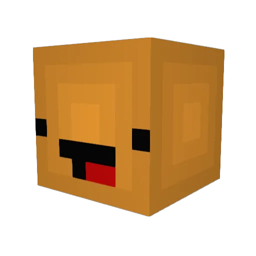 Coleman2596 Minecraft avatar head, 3D render