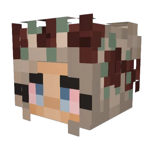Coleman95 Minecraft avatar head, 3D render