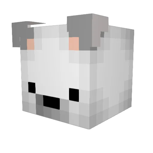 Coleoptiles Minecraft avatar head, 3D render