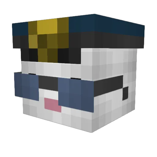 Colerer Minecraft avatar head, 3D render