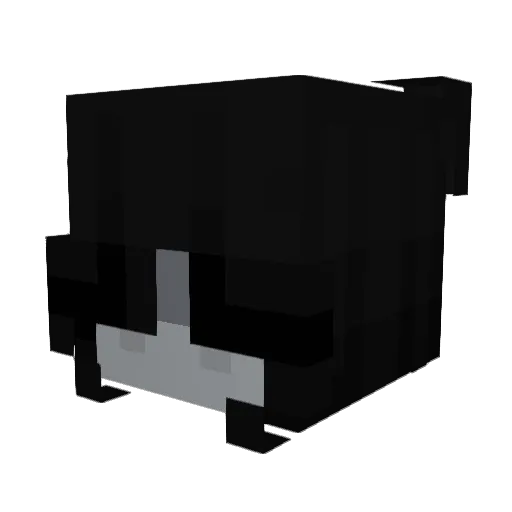 Colgan2117 Minecraft avatar head, 3D render