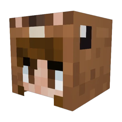 ColiJGaming Minecraft avatar head, 3D render