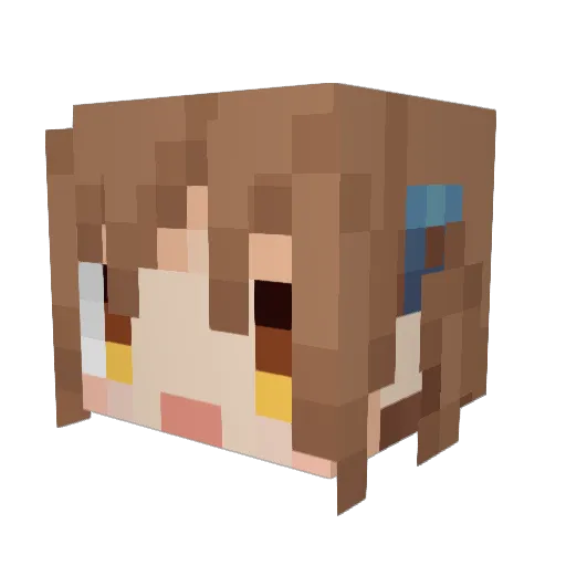 ColiNBRox Minecraft avatar head, 3D render