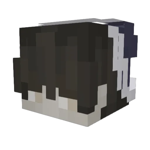 Colibrido Minecraft avatar head, 3D render