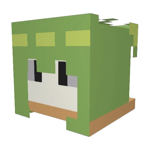 ColicWizard0235 Minecraft avatar head, 3D render