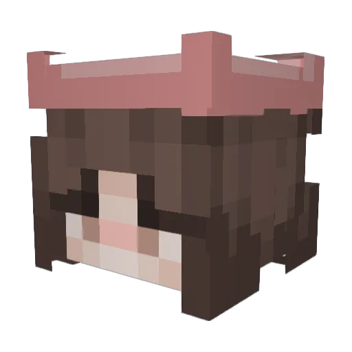 Colieflower1 Minecraft avatar head, 3D render