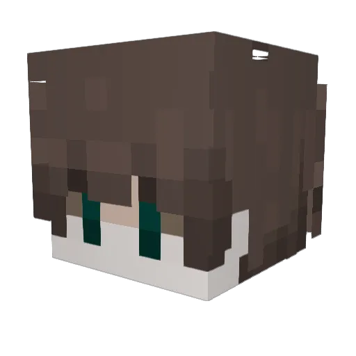 Colin_HG Minecraft avatar head, 3D render