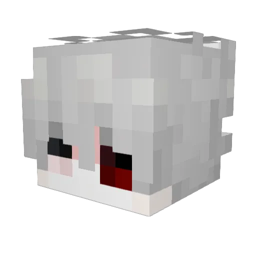Colinee Minecraft avatar head, 3D render