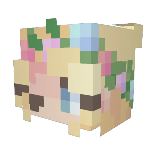 Colipopss Minecraft avatar head, 3D render