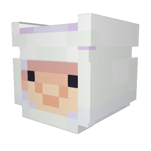 ColitaTonta Minecraft avatar head, 3D render