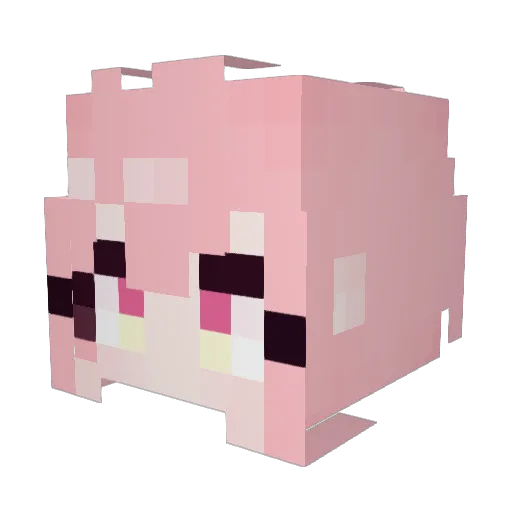 Collap15 Minecraft avatar head, 3D render