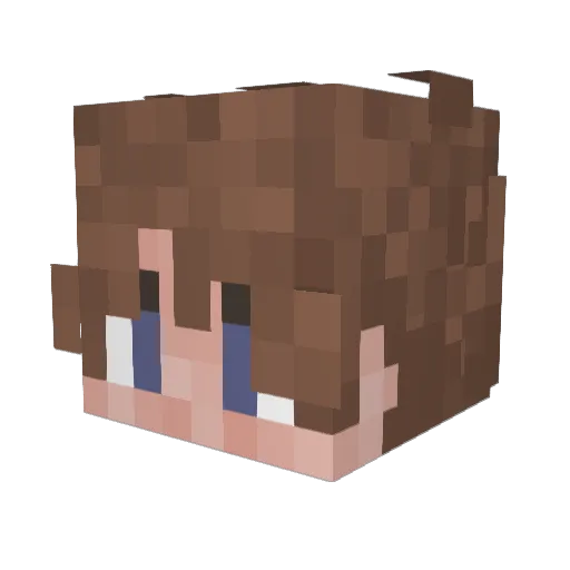 Collas42 Minecraft avatar head, 3D render