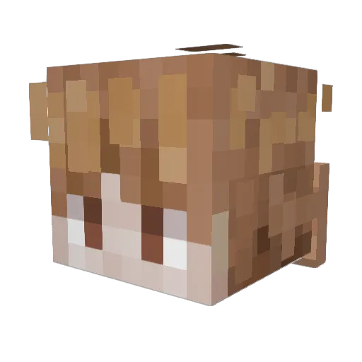 CollectorN7X Minecraft avatar head, 3D render