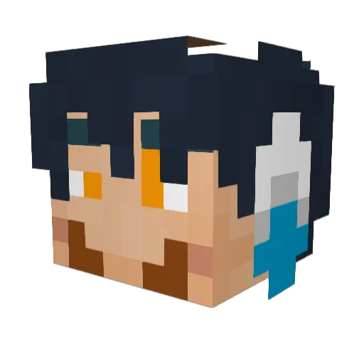 CollegeRules001 Minecraft avatar head, 3D render