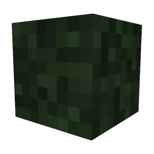 Collin8787 Minecraft avatar head, 3D render