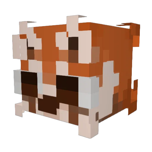 Collind555 Minecraft avatar head, 3D render