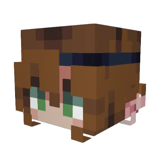 Colliy Minecraft avatar head, 3D render