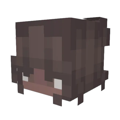 Colllateraldmg Minecraft avatar head, 3D render