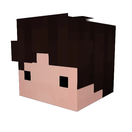 ColloquialCat Minecraft avatar head, 3D render