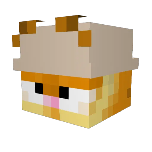 Colly3 Minecraft avatar head, 3D render