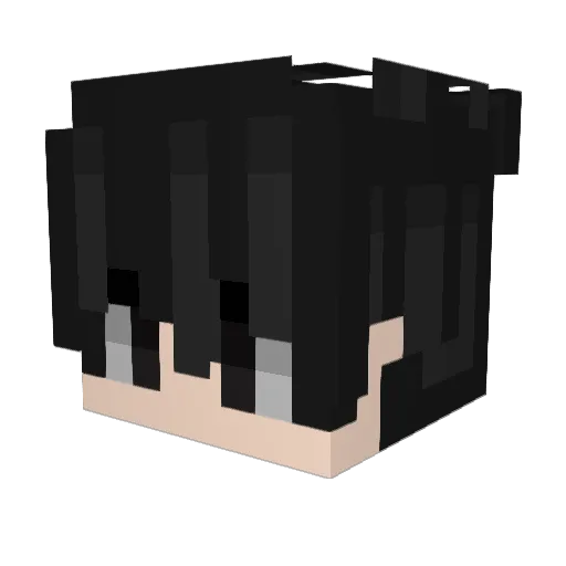 Colnss Minecraft avatar head, 3D render