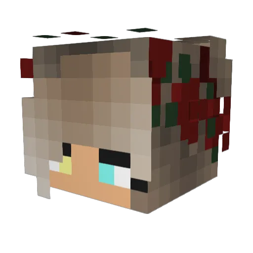 Colo2312 Minecraft avatar head, 3D render