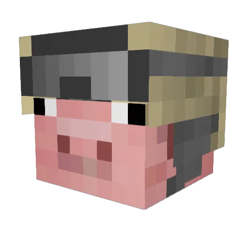 ColonelBacon22 Minecraft avatar head, 3D render