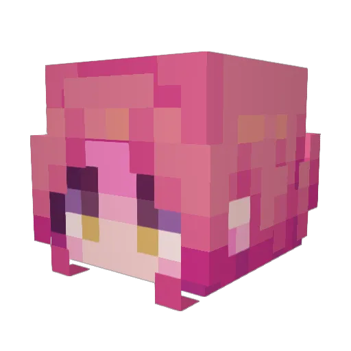 ColonelDax Minecraft avatar head, 3D render