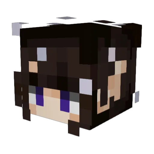 ColonelReaper Minecraft avatar head, 3D render