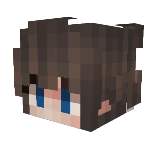 Colonel_Henri Minecraft avatar head, 3D render